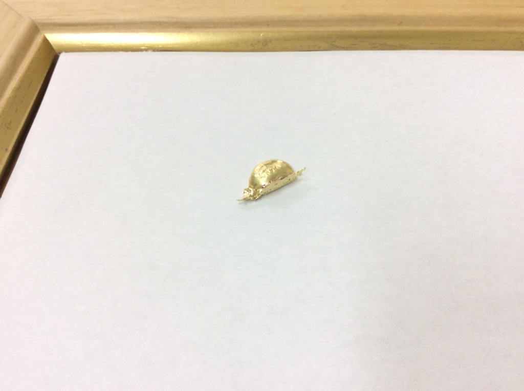 買取写真